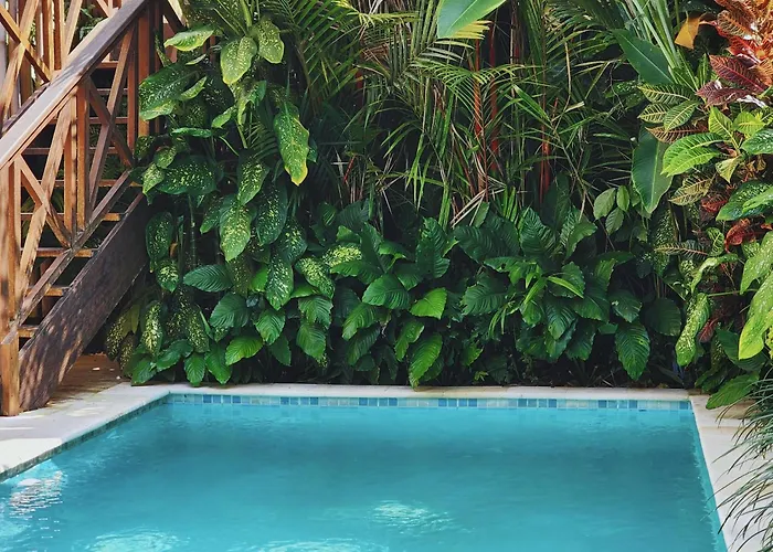 Danaya's Ubud